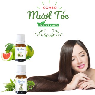 Combo tinh dầu dưỡng tóc cao cấp asaroma- 20ml