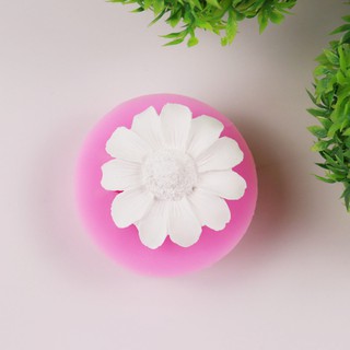 Khuôn Hoa 10 Giờ 4D Khuôn Rau Câu Silicon Chất Lượng Cao