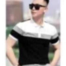 Áo Thun POLO Nam Tay Ngắn Thêu Logo AREMI Cao Cấp Thoáng Mát Co Dãn Tốt ARPL05