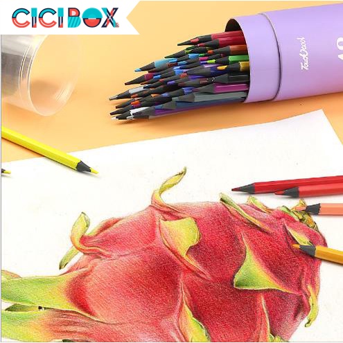 Bút chì màu chuyên nghiệp dạng cốc Touch cool 12/ 24/36/48 màu, Bút chì gỗ tự nhiên an toàn CICIBOX