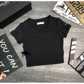 ÁO CROPTOP THỂ THAO NỮ THUN LẠNH