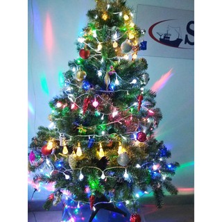 Set đèn led trang trí cây thông noel hình thật