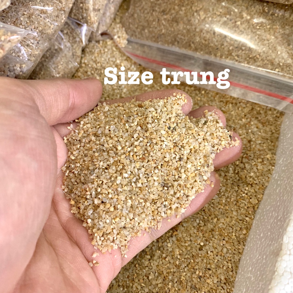Cát, Sỏi Nắng Vàng 3 Kích Cỡ Hạt- Túi 500gr