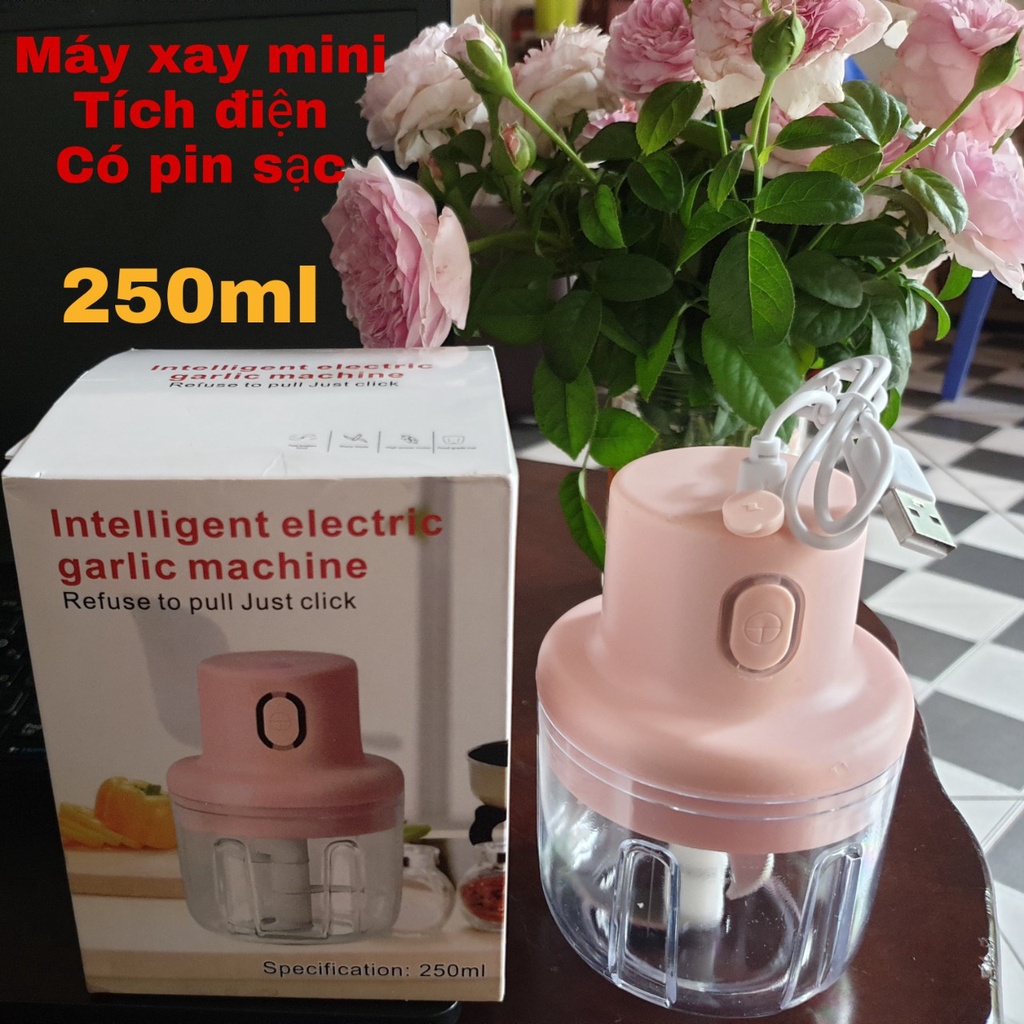 Máy xay tỏi ớt đa năng sạc điện, Máy xay mini cầm tay dung tích 250ml ( mẫu mới)