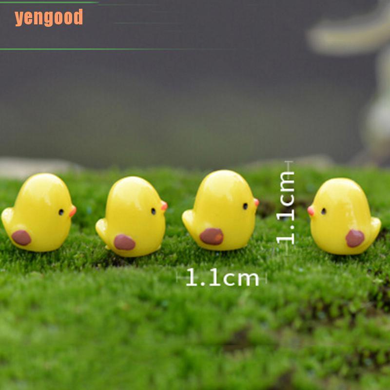 Set 5 mô hình gà con mini trang trí tiểu cảnh sân vườn
