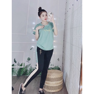 Đồ bộ thun cotton mặc nhà đồ bộ bizgsize đồ bộ nữ