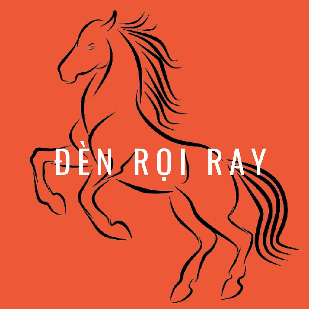 ĐÈN RỌI RAY