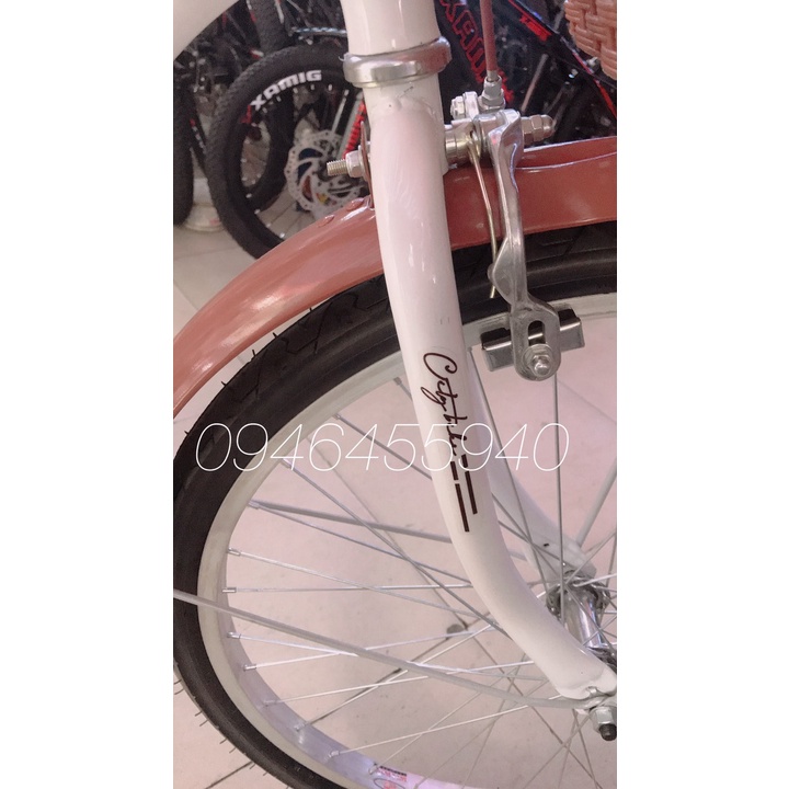 Xe đạp mini 24/26inch VIỆT - PHÁP , khung thiên nga,phù hợp cho tuổi từ 10 tuổi trở lên