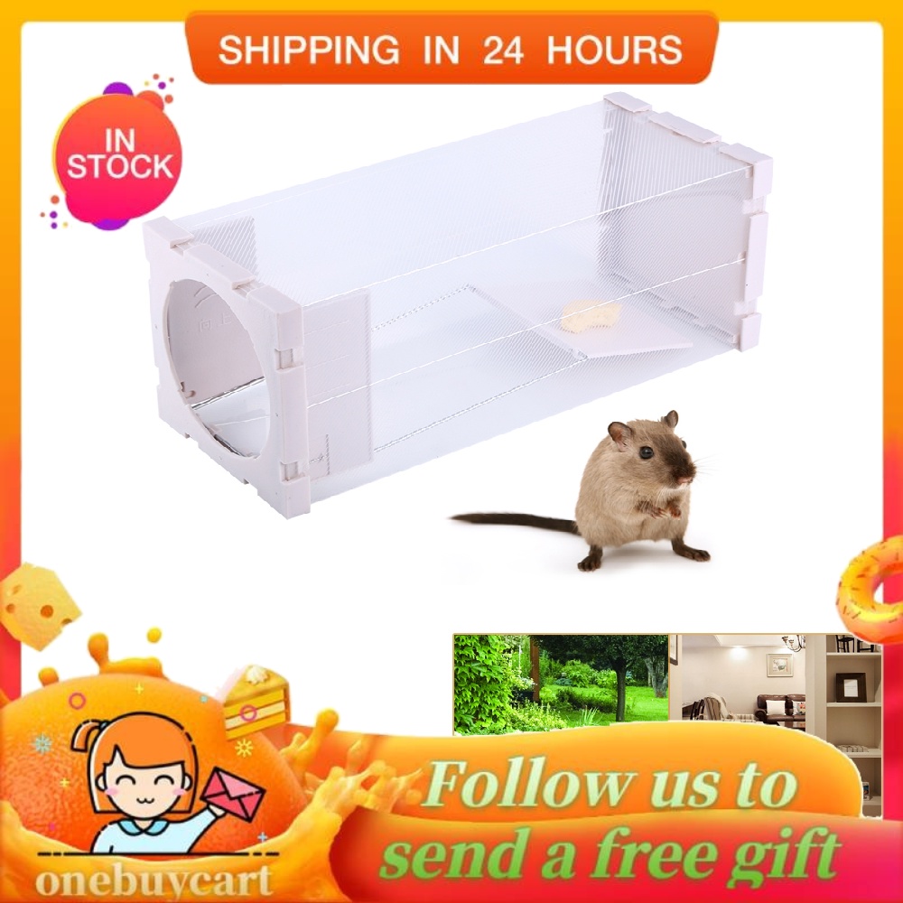 Lồng bẫy bắt chuột tiện dụng cho gia đình