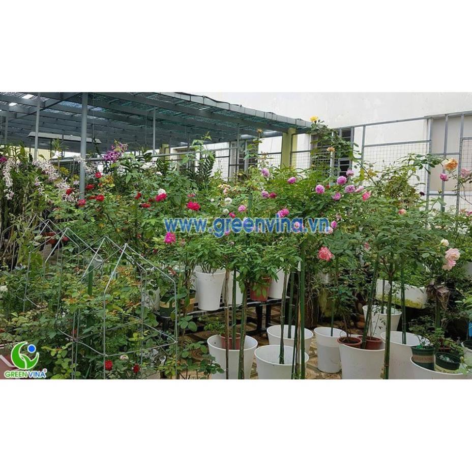 Ống thép bọc nhựa dùng làm cây đỡ hoa hồng, làm giàn cỡ 16mm dài 180cm - Bt0408