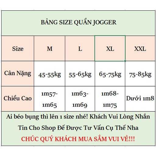 Quần jogger Nam túi hộp lưng thun bo chân phong cách Hàn Quốc, Quần thể thao nam chất kaki co giãn Tô Tồ Shop - JG6