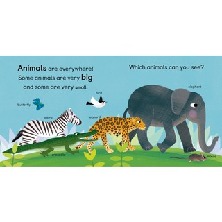 Sách - Anh: Zoology For Babies