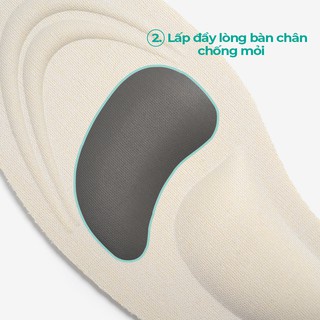 Lót Giày Thể Thao Sneaker Bảo Vệ Chân Nam Nữ 4D MINSU M2312 Cao Su EVA Thấm Hút, Khửi Mùi Hôi Chân, Miếng Đệm Cực Êm