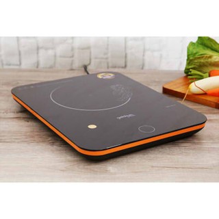 Bếp từ Goldsun GPI-T53