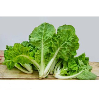 Hạt Giống Cải Bẹ Dún Giòn Ngọt, Dễ Trồng 20gr