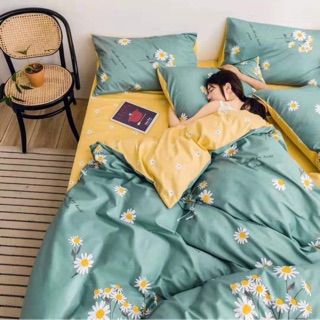 Bộ Drap & Chăn Phao Cotton Poly Cúc Hoạ Mi