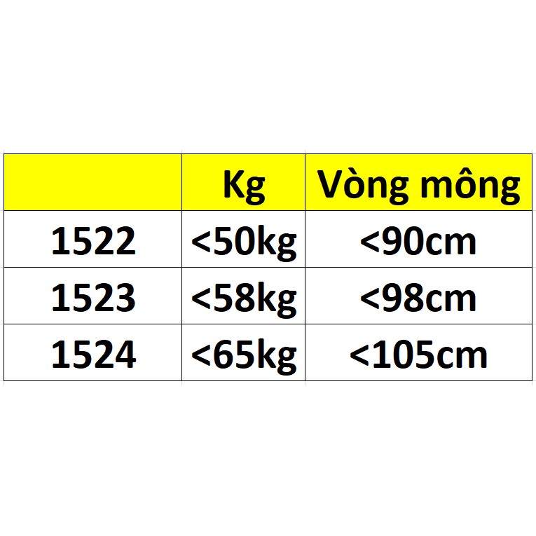 Combo 5 quần lót nữ su thông hơi trơn 1524