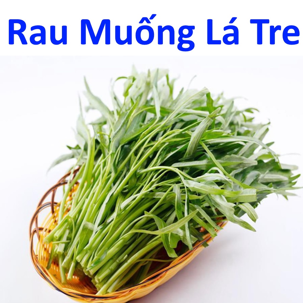 Rau Muống Lá Tre , Hạt Giống Rau Muống chất lượng cao