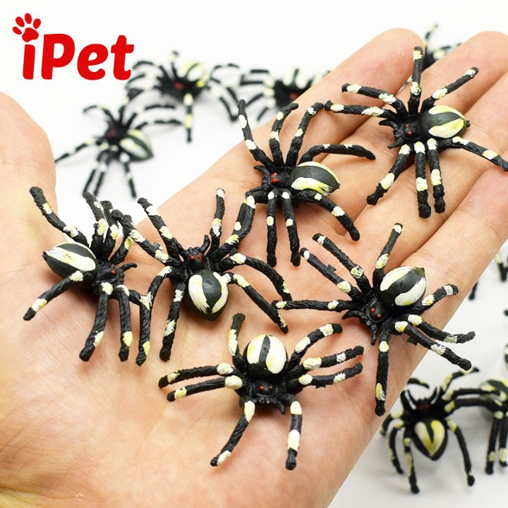 Đồ Chơi Côn Trùng Cao Su Cho Mèo Vớn Bắt - iPet Shop