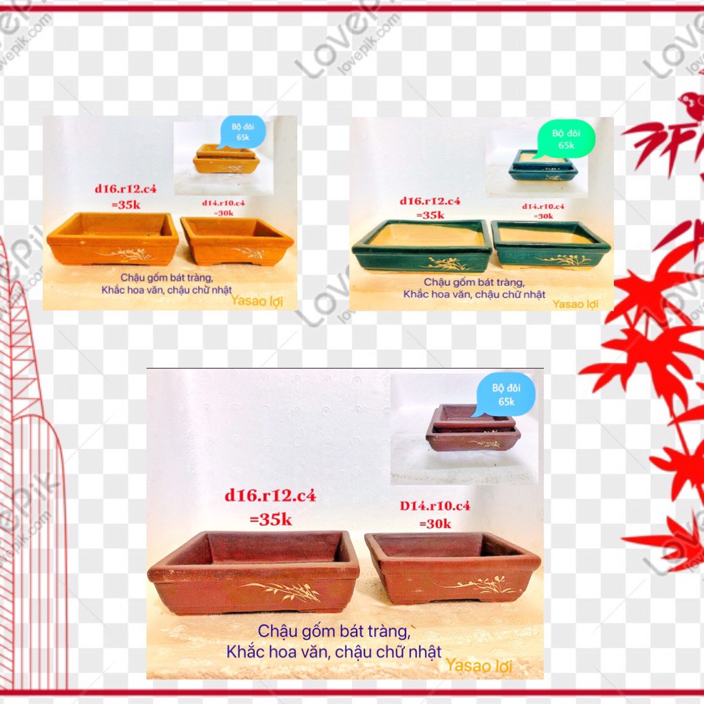 Chậu cây, là sản phẩm chậu gốm dùng để trồng hoa, chậu cây cảnh, cây mini...