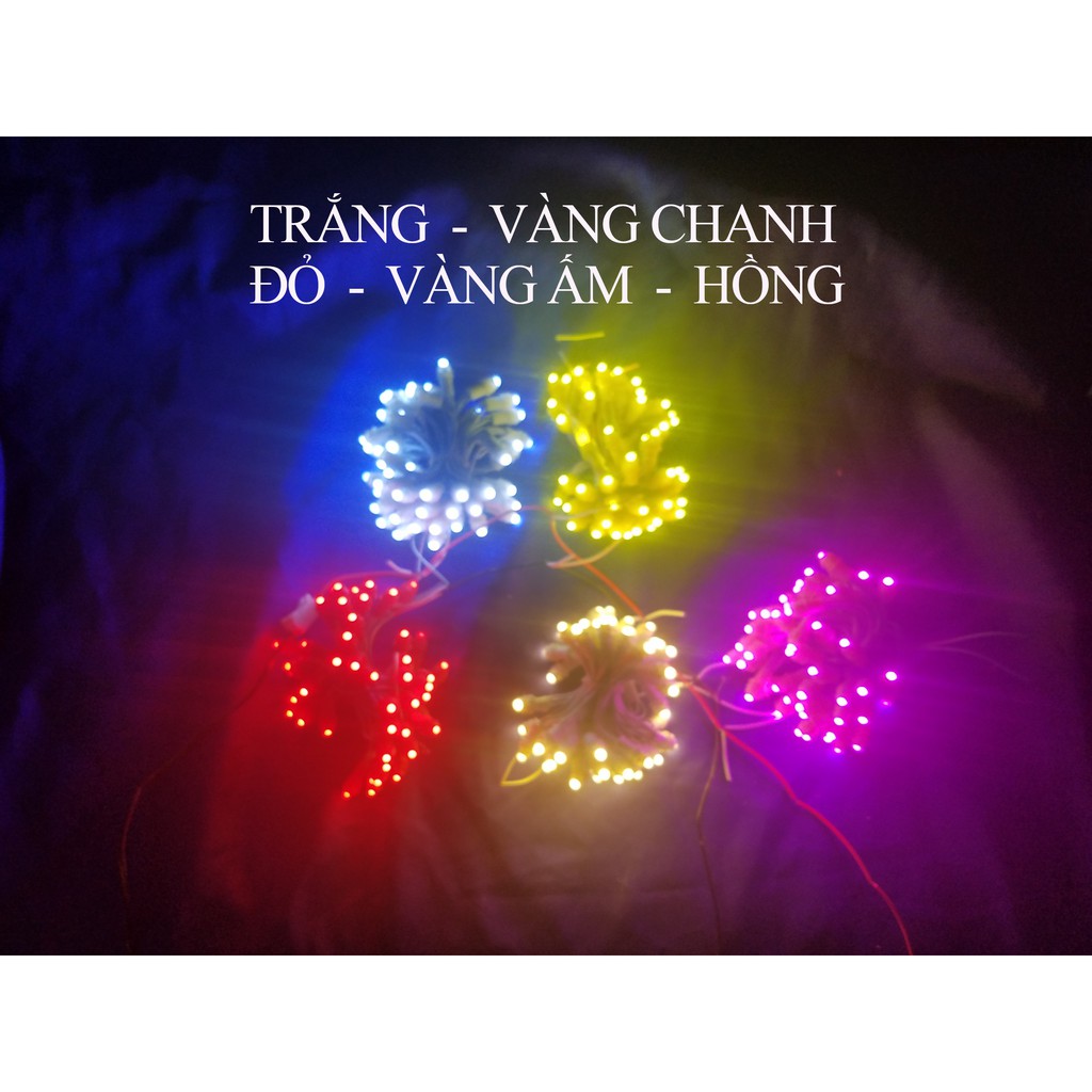 [X-LED] Led đúc F5 - 12V  trang trí ngoài trời IP68