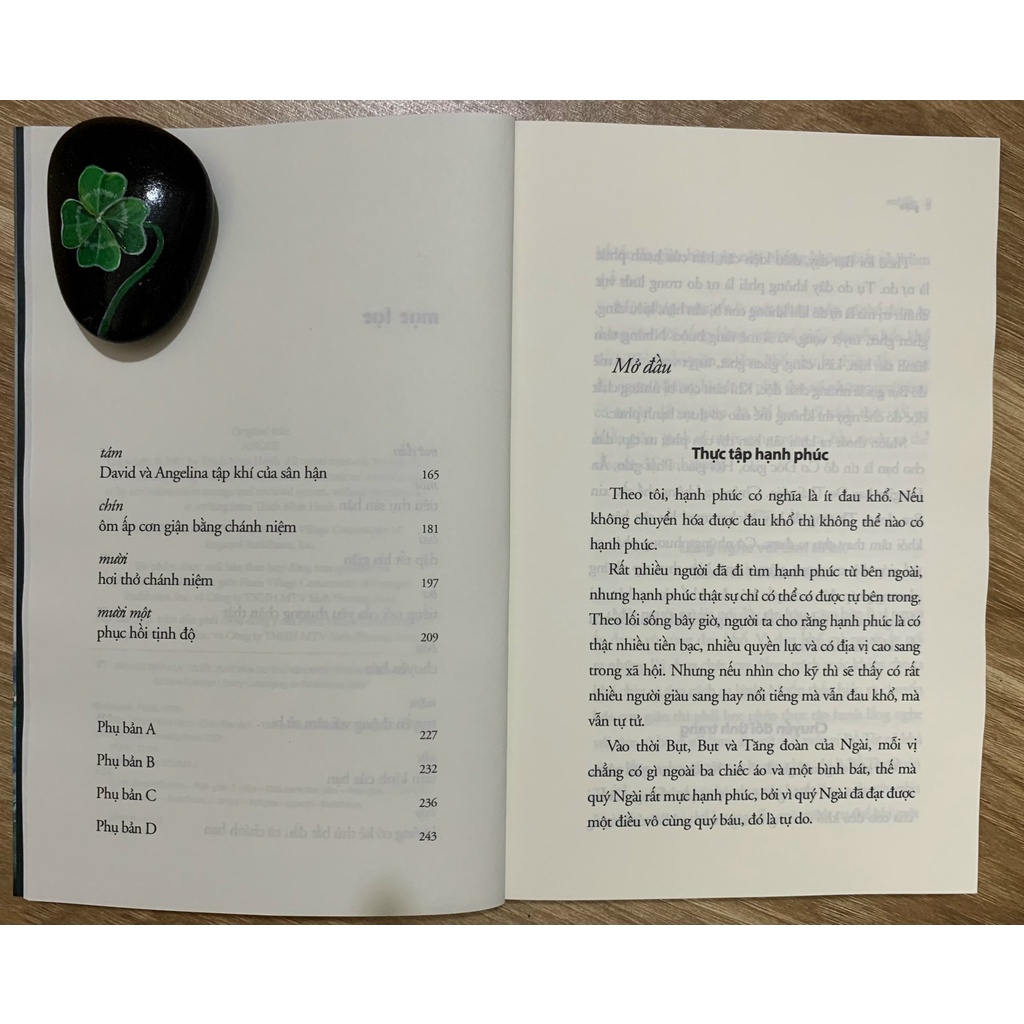 Sách - Trong cái không có gì không, Giận - Thích Nhất Hạnh