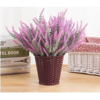 HOA OẢI HƯƠNG LAVENDER giả phủ phấn 5 nhánh 25 bông màu sắc trang nhã cực xinh decor nhà cửa, sự kiện, chụp ảnh