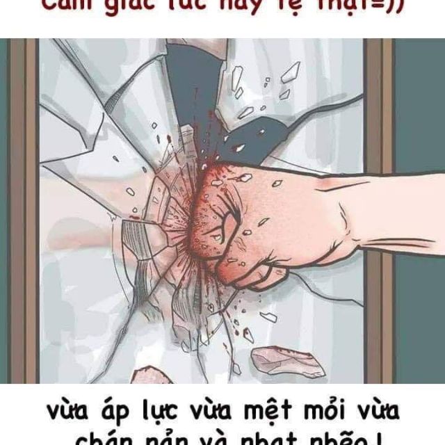 Bibi phượng 50k