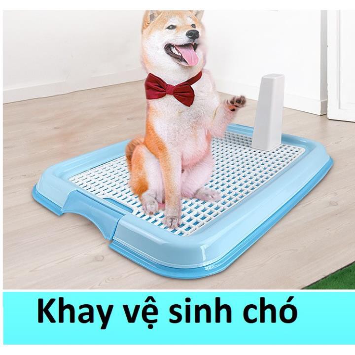 Khay Vệ Sinh Cho Chó cải tiến + Tặng Kèm 3 Tấm Lót Khay hanpet