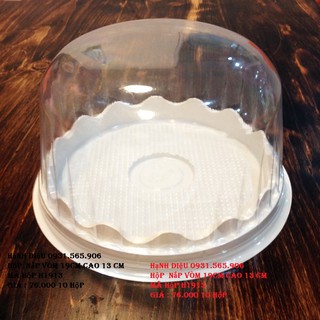 Hộp Nhựa 19Cm Đựng Rau Cau Bánh Kem Set 10 Hộp