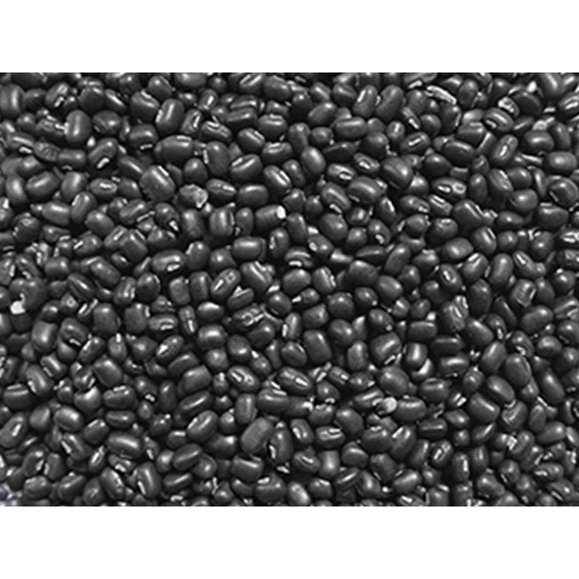 Đậu đen xanh lòng