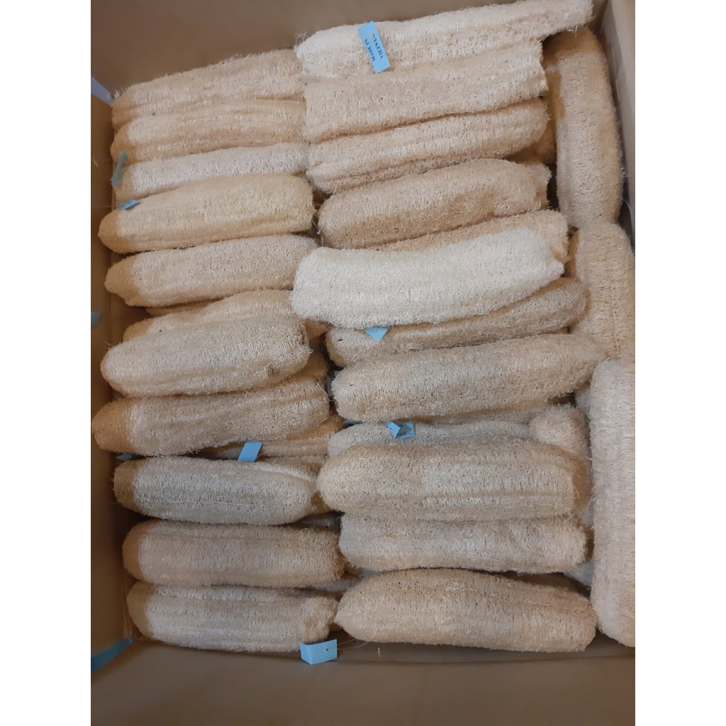 Xo muop / Xơ mướp khô