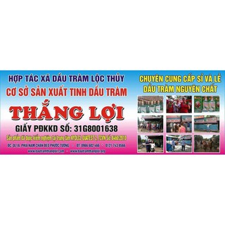 Tinh Dầu Tràm Thắng Lợi 100ml