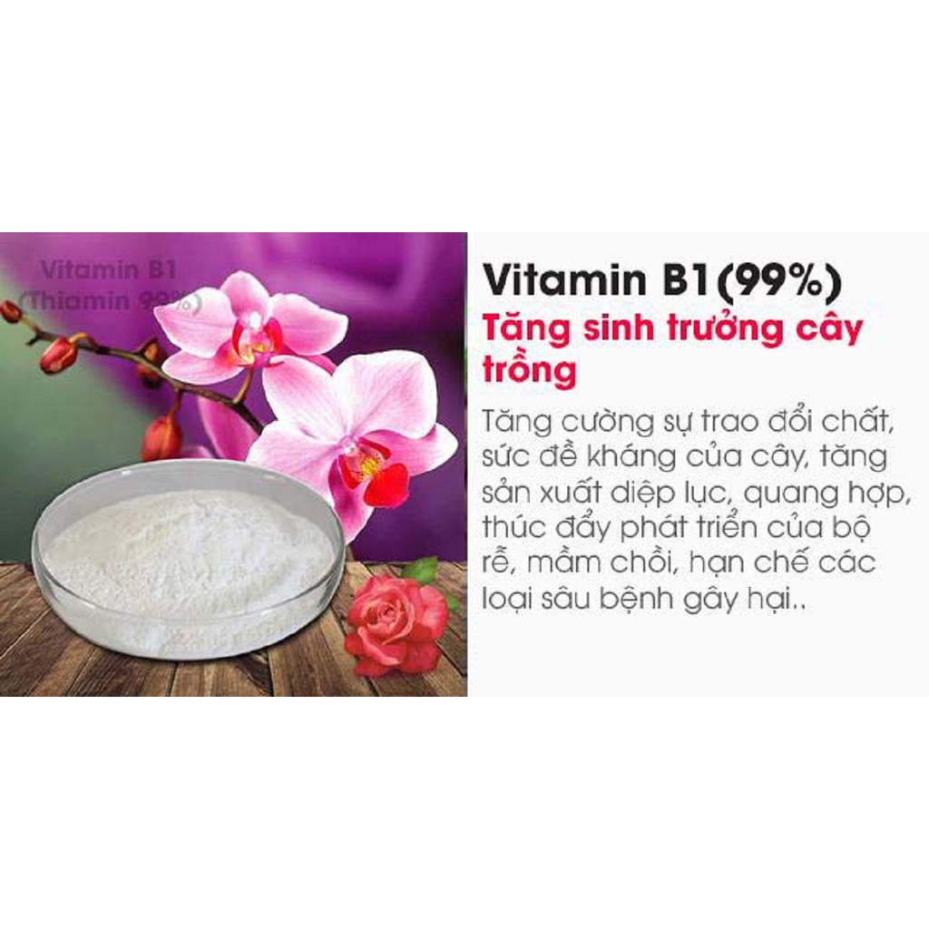 Vitamin B1  Gói 50gr