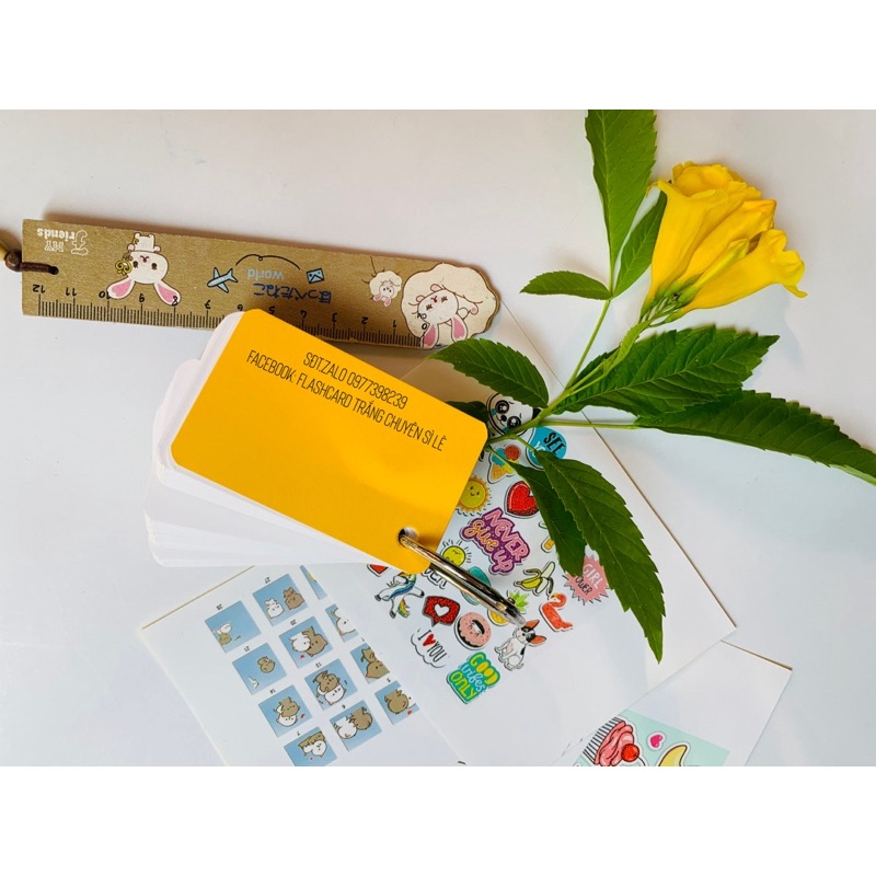 Flashcard trắng  thẻ học từ vựng tiếng anh nhật hàn trung cao cấp bo góc