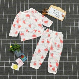 Set 4b cotton giấy qc