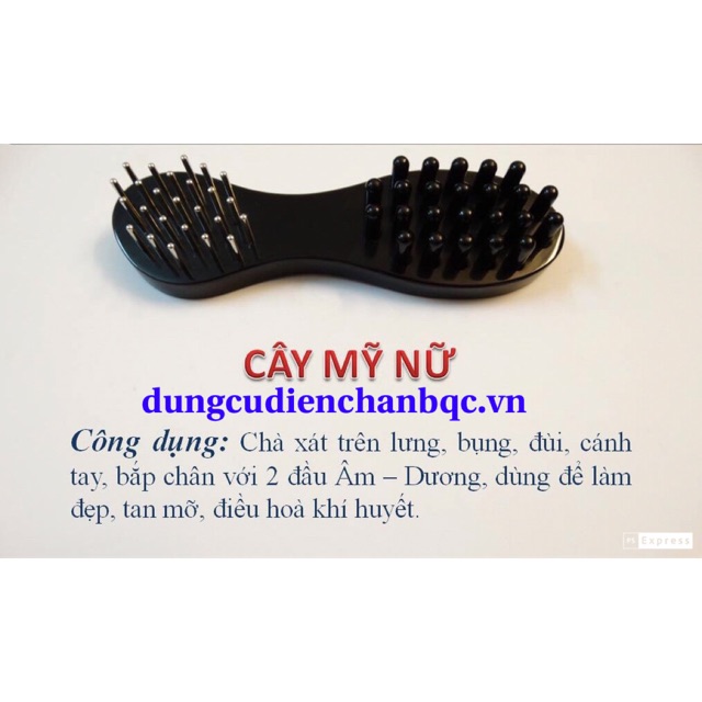 Cây Mỹ Nữ Diện Chẩn