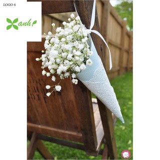 Hạt giống hoa baby trắng dễ trồng gói 50 hạt