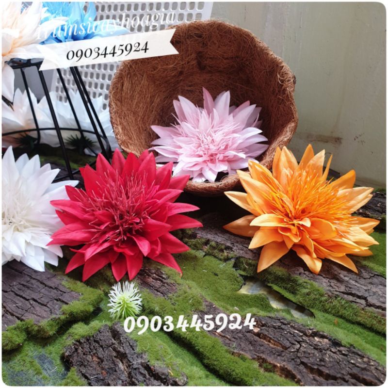 Đầu bông cúc râu siêu to size 13cm.Trang trí tháp oản,bánh.