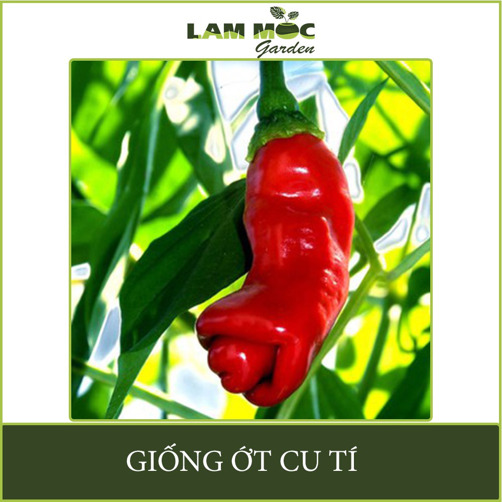 Hạt Giống Ớt Cu Tí Độc Nhất Vô Nhị Gói 0,01g