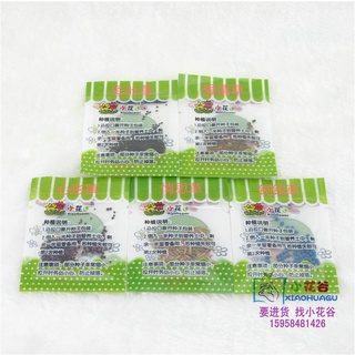 Hạt giống cây cảnh trồng chậu mini