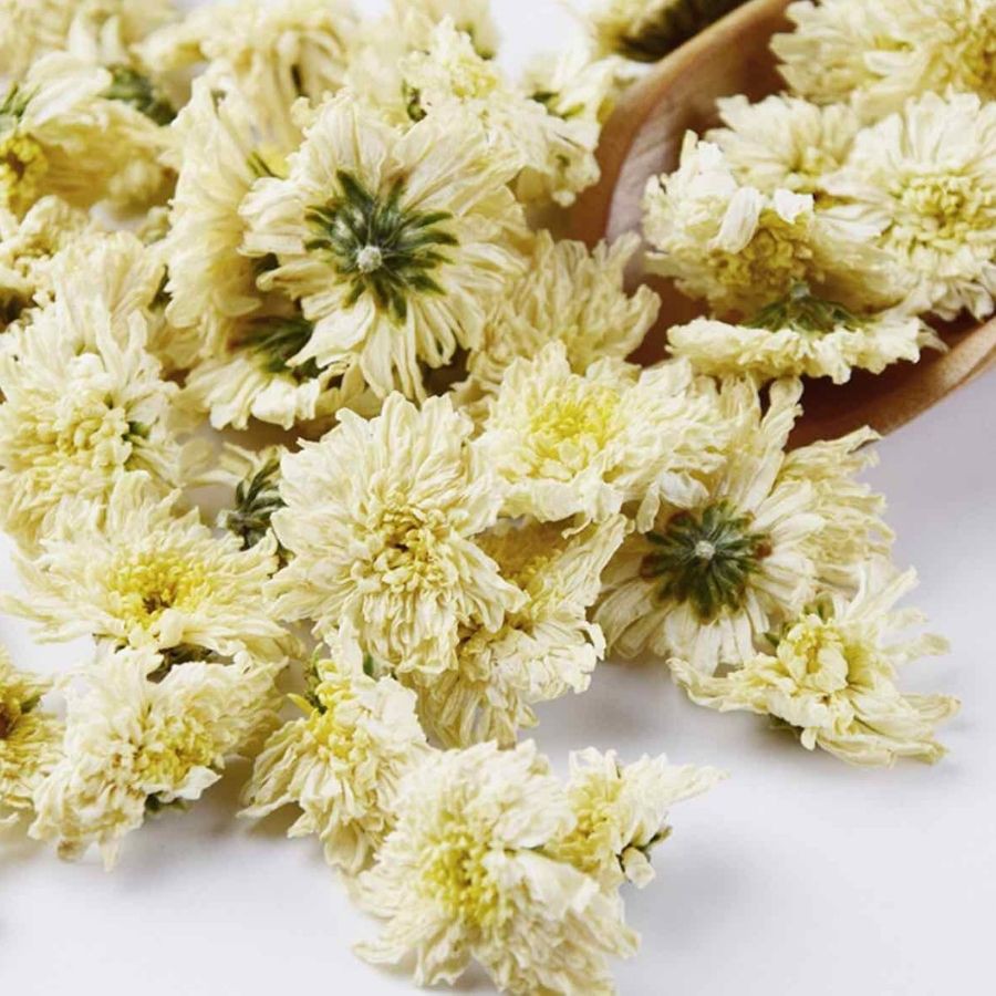 BẠCH CÚC-  trà hoa thảo mộc Đà Nẵng - Ato trà - TRÀ HOA CÚC TRẮNG GIÚP NGỦ NGON - AN THẦN