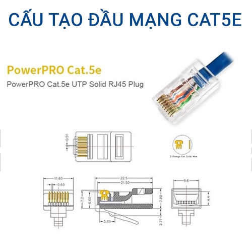 Đầu Mạng RJ45 DINTEK Cat5E