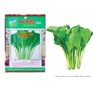 Hạt giống cải ngọt cao sản Phú Nông Italia - gói 20g