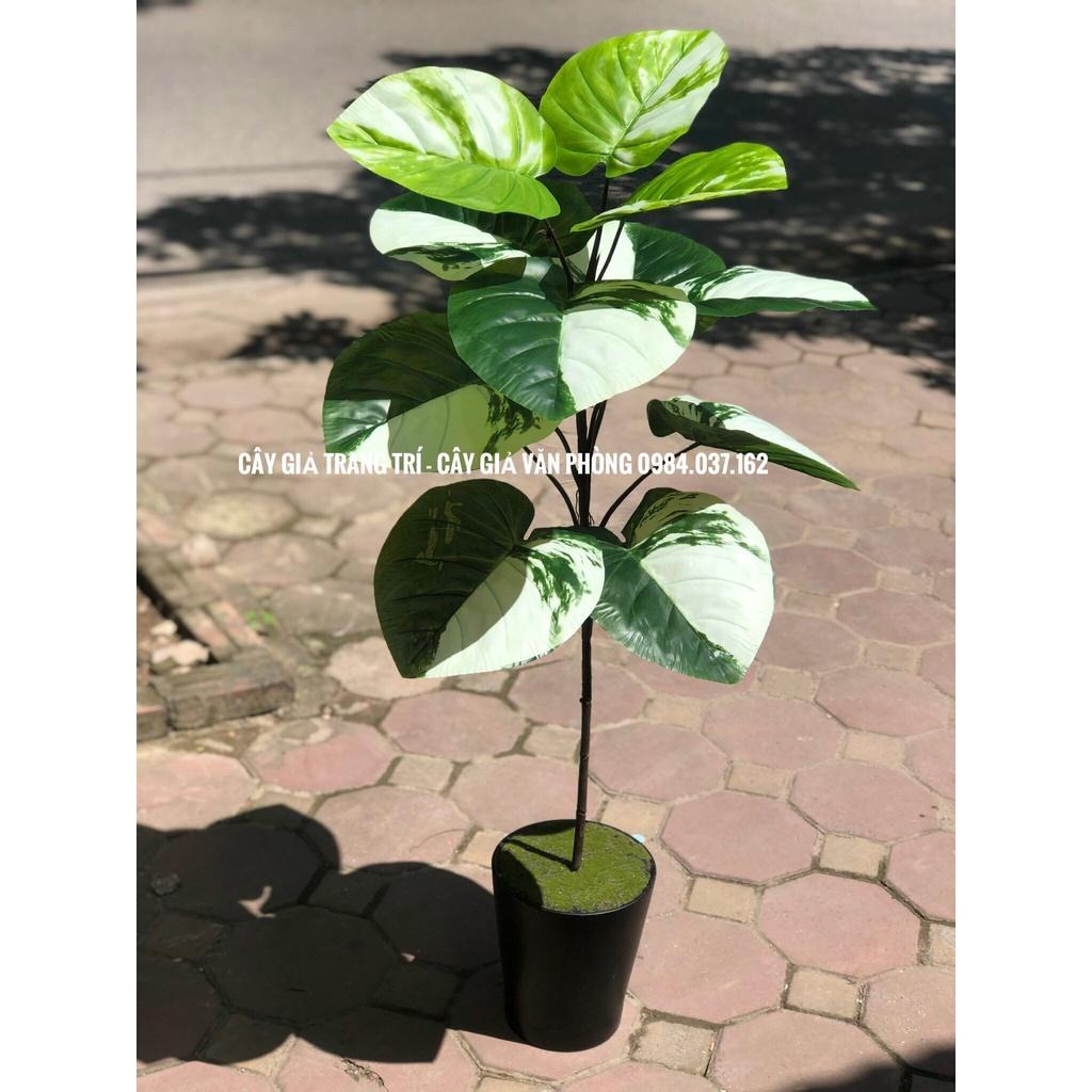 Cây Giả Trang Trí - Cây Trầu Bà Một Nhánh Decor Nhà Cửa