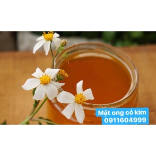 Mật ong cỏ kim ( hoa xuyến chi ) chuẩn giá tốt