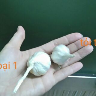 Tỏi khô Lý Sơn nhiều tép