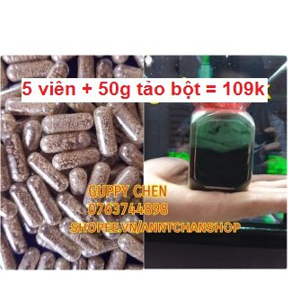 Combo tiết kiệm 5 viên atermia + 50g tảo bột cho cá cảnh