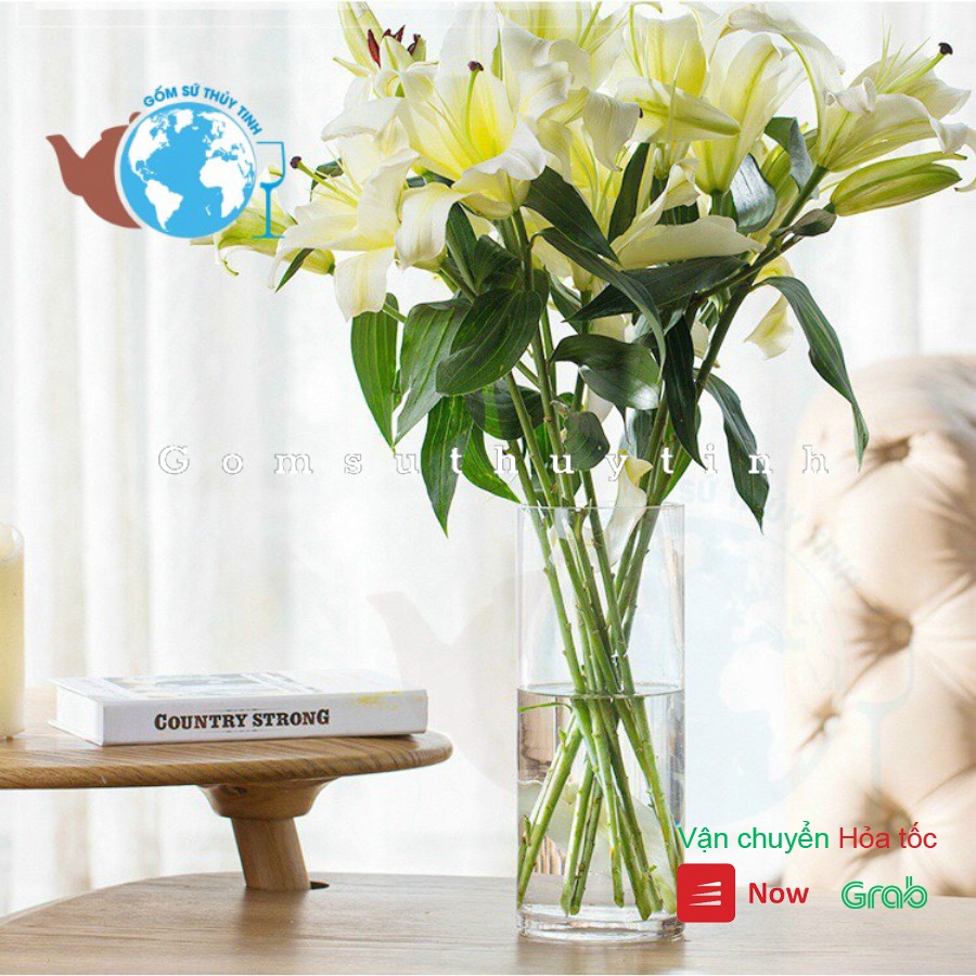 Lọ Hoa Bình Bông Thủy Tinh Trang Trí D12CM x H30CM