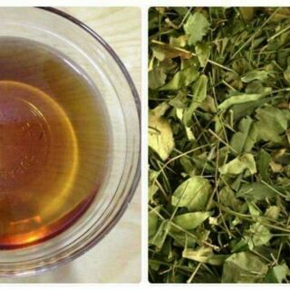 1kg lá chè vằng lợi sữa cho mẹ